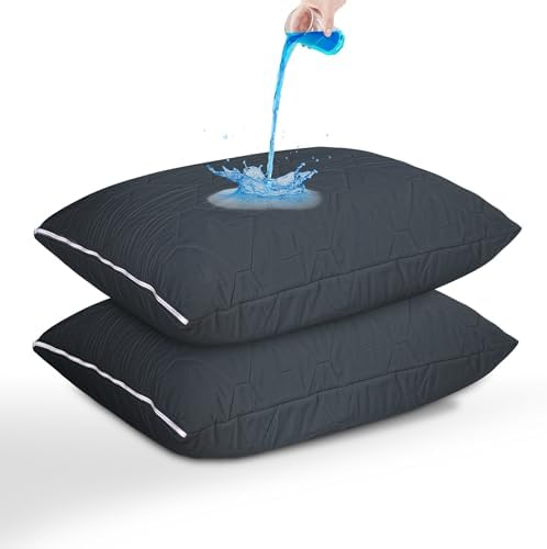 Ruili 2 Pack Queen Zippered Pillow Protectors