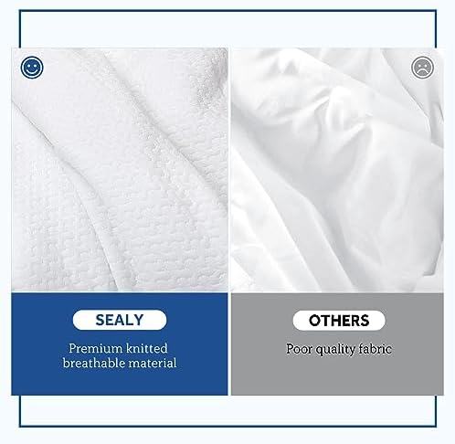 Sealy Queen Heated Mattress Pad with Dual Controller and 10 Heat Settings