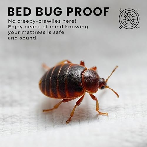 Utopia Bedding Waterproof Bed Bug Mattress Cover Queen