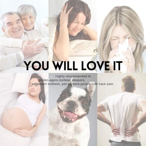 LEISURE TOWN Queen Mattress Pad with Cooling Soft Pillow Top