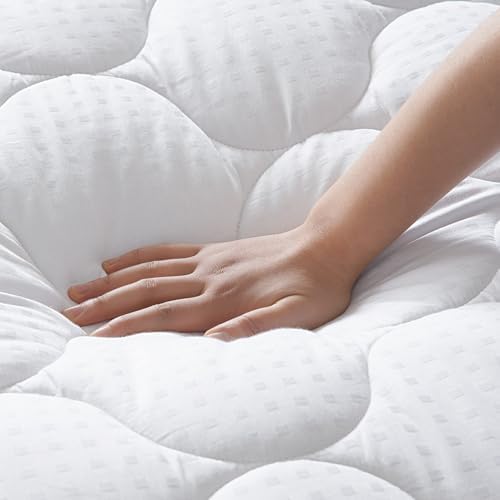 LEISURE TOWN Queen Mattress Pad with Cooling Soft Pillow Top