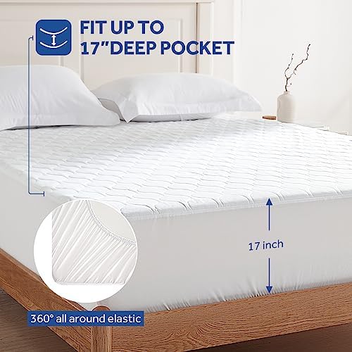 Sealy Heated Mattress Pad Queen Size with Dual Controller