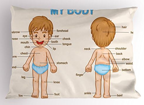 Ambesonne Science Pillow Sham with Body Parts Cartoon Design