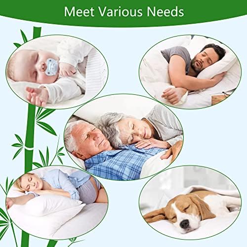 GOONIK Queen Mattress Protector Waterproof with Bamboo Viscose Cover
