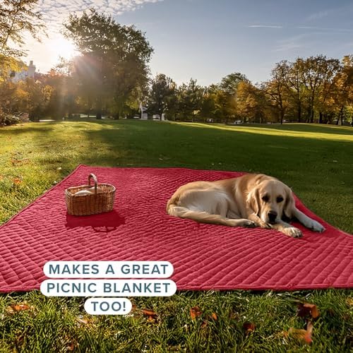 Bare Home Coverlet Set - Red Quilted Bedspread Shams FullQueen